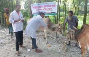 22707595-2668-439a-8e44-6abc46864113