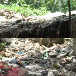 পীরগাছা বাজারে বর্জ্যের স্তূপ, স্বাস্থ্যঝুঁকিতে ব্যবসায়ী-ক্রেতা​
