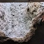 জিয়ানগরে বসতঘরে সিঁদ কেটে চুরি