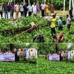 কাউনিয়ায় জলাবদ্ধতা নিরসনে সেতুর মুখে আটকে থাকা কচুরিপানা অপসারণ করল বিএনপি ও অঙ্গ-সহযোগী সংগঠনের নেতাকর্মীরা