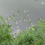IMG-20260917-WA0015