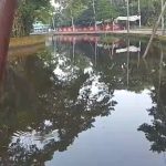 রহমতখালী খাল পরিস্কার পরিচ্ছন্নতা অভিযান: মরা খাল ফিরে পাওয়ায় খুশি লক্ষ্মীপুরবাসী।
