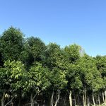 IMG_20261026_184240